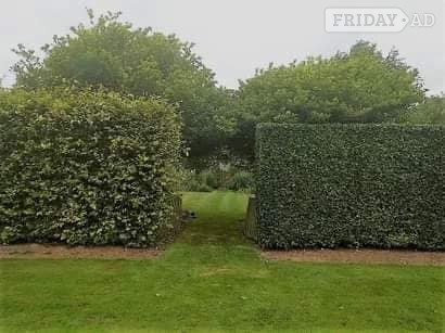 Garden Services in Battle - Farming, Gardening & Pet Jobs in Battle