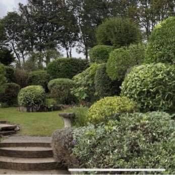 Garden Services in Battle