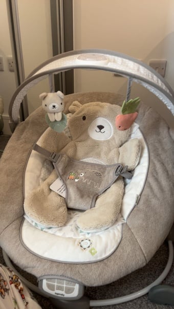 Baby bouncer /rocker