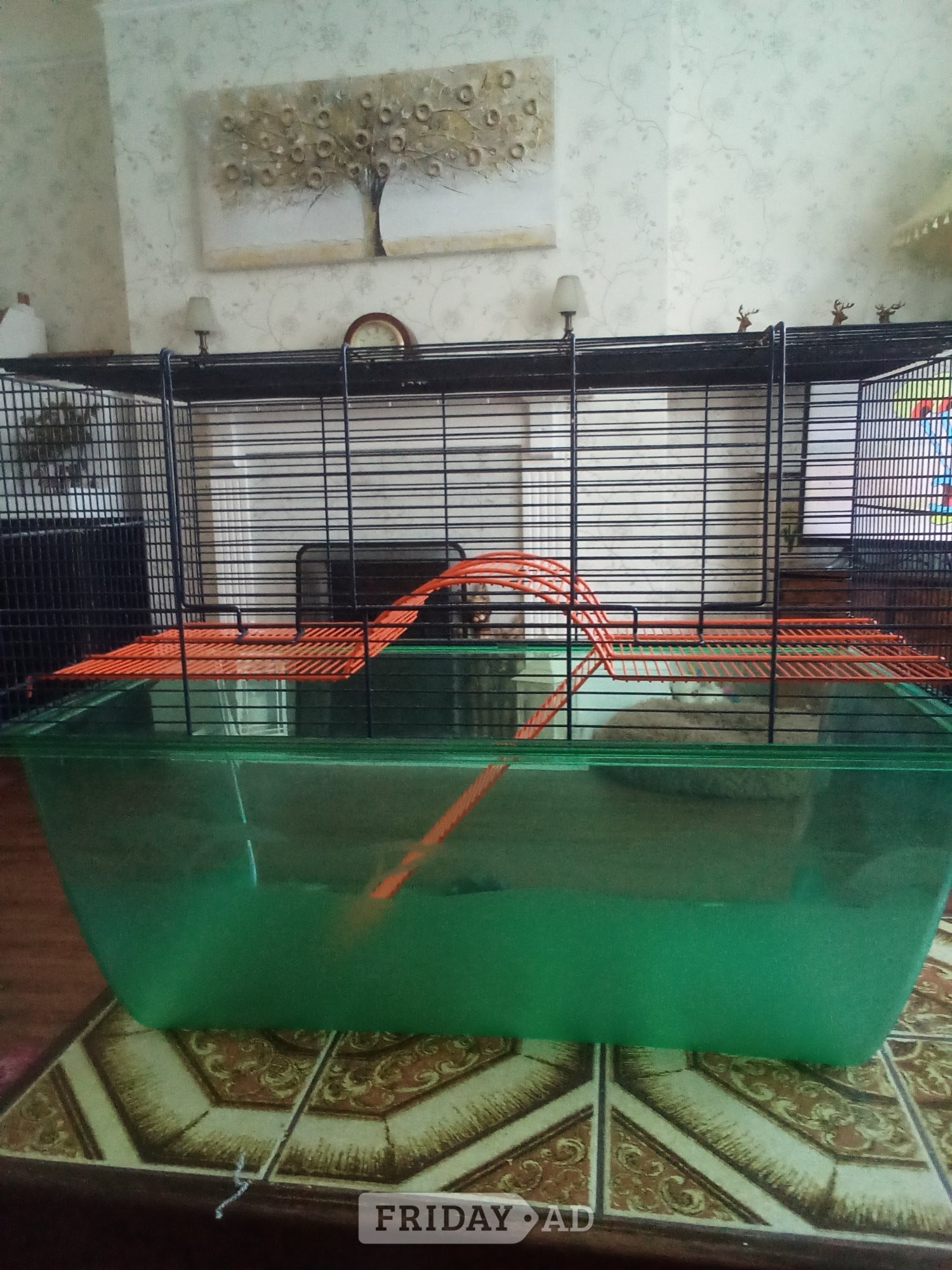Gerbil or hamster cages and lots of accessories  in Bexhill-On-Sea
