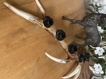 Antler Candle Holder