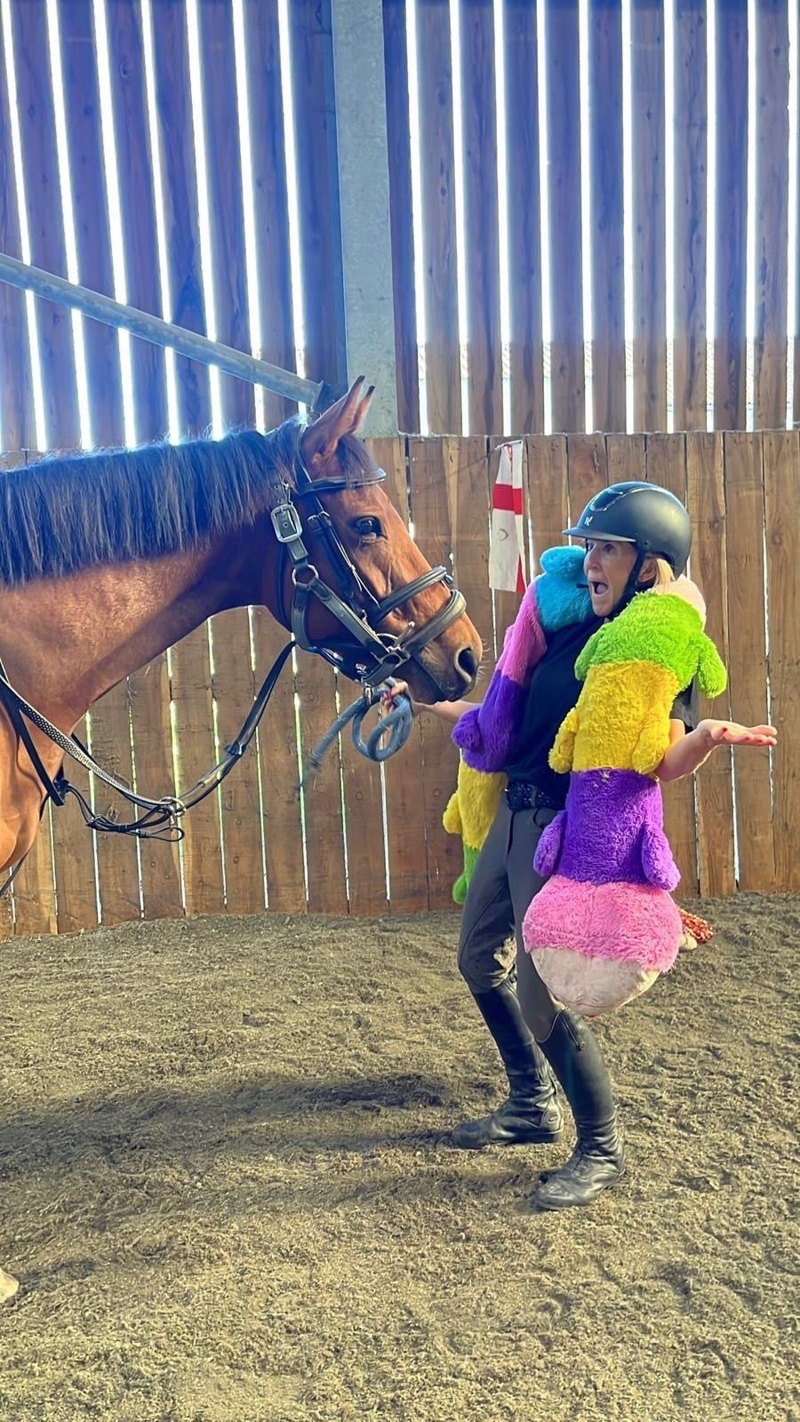 Maidstone 16.2hh stunning alrounder mare