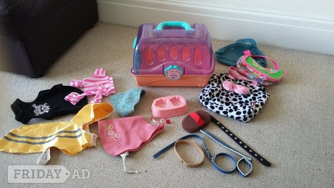Dolly pet carrier with various clothes / coats, collars, brush, pet bags and feeding plate. in Shoreham-By-Sea