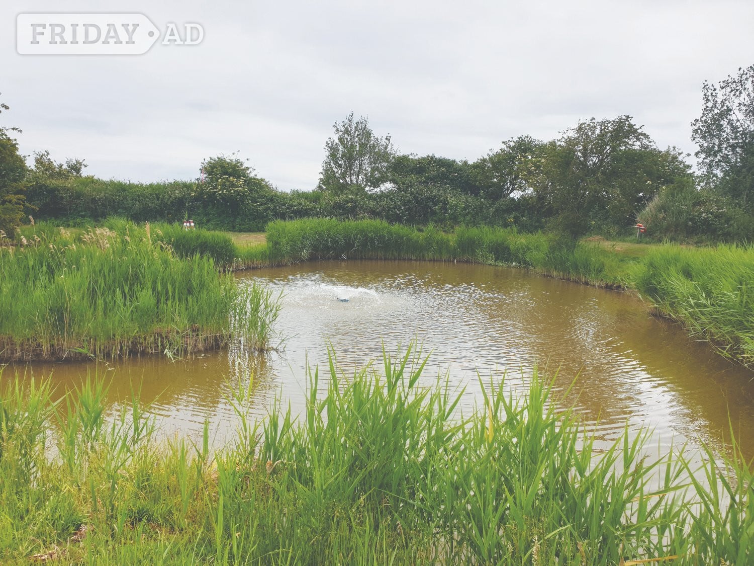 Wisbech Fishing Holidays in the heart of the fens