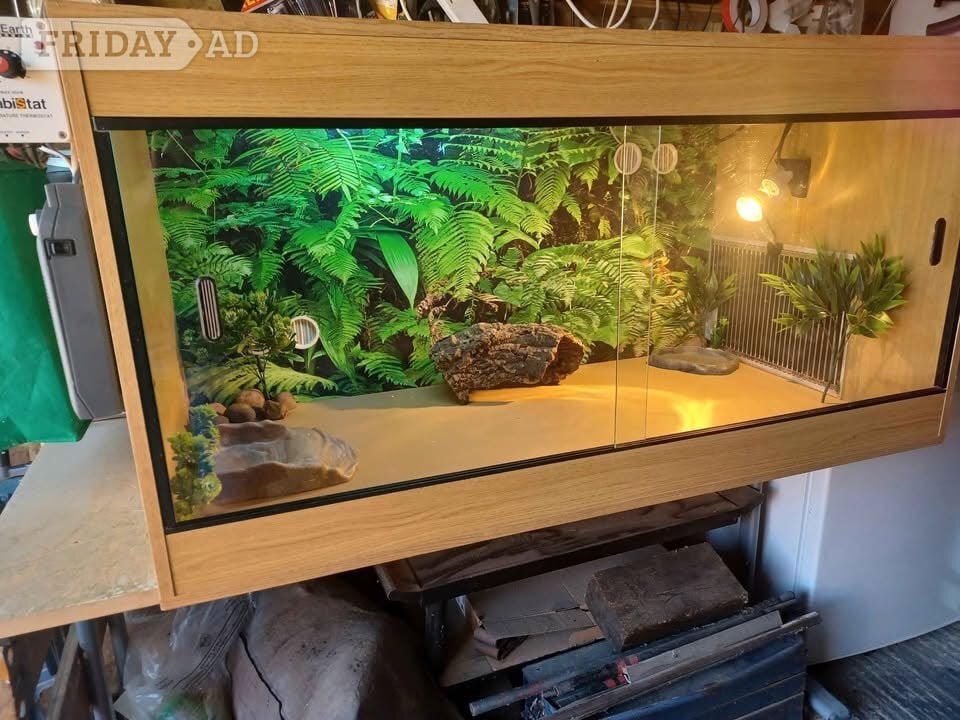 Vivarium LARGE 4ft x 2ft x 2ft with electrics in Gillingham