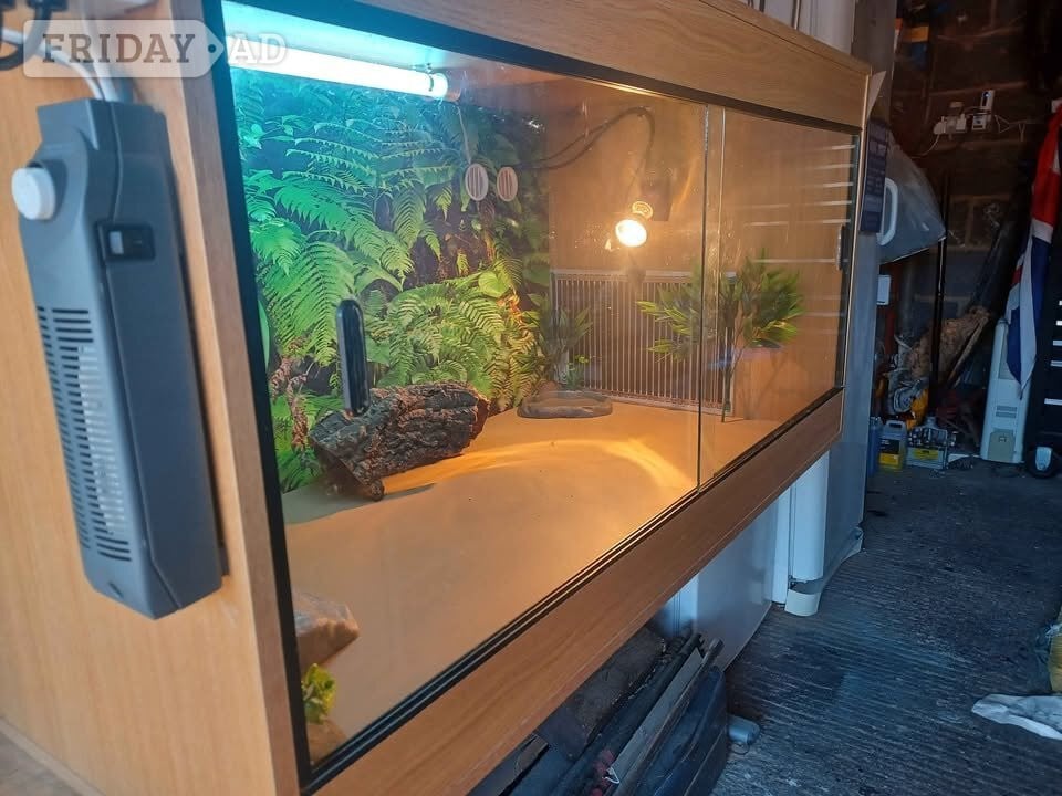 Vivarium LARGE 4ft x 2ft x 2ft with electrics