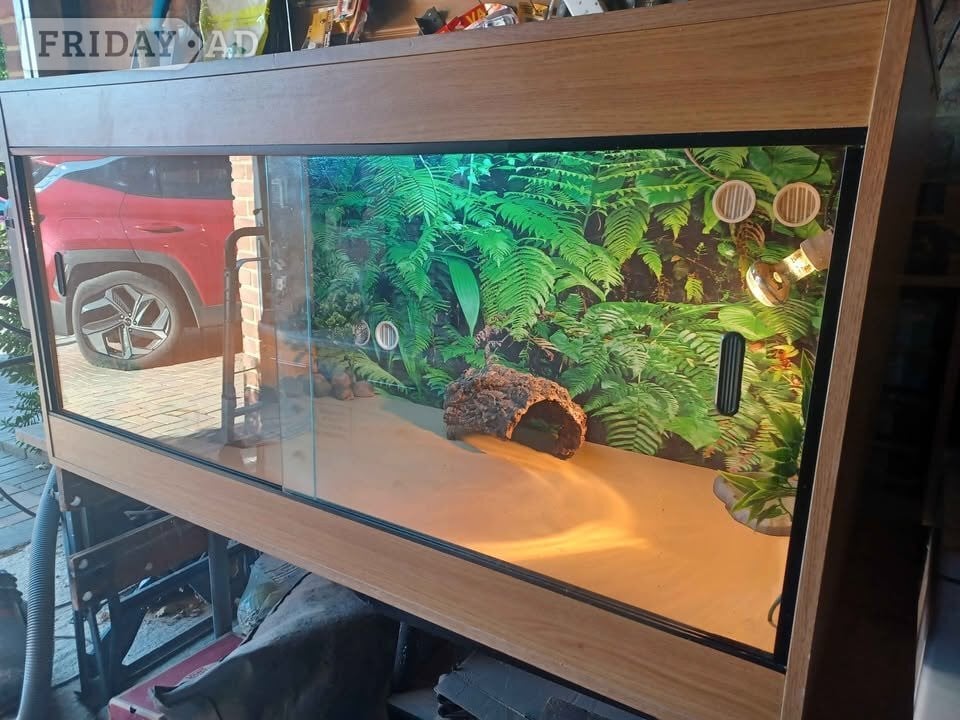 Vivarium LARGE 4ft x 2ft x 2ft with electrics - Pet Accessories & Supplies