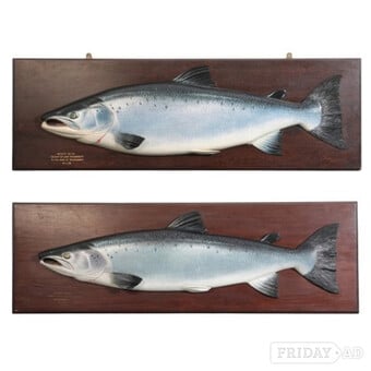 CARVED FISH WANTED antique wooden fish WANTED cased or carved fish COOPER SALMON TROUT PERCH PIKE HARDY FOCHABER ROWLAND WARD