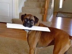 Replacement Slats for Plantation Shutters - Home Decor