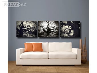 Extra Large Canvas Prints