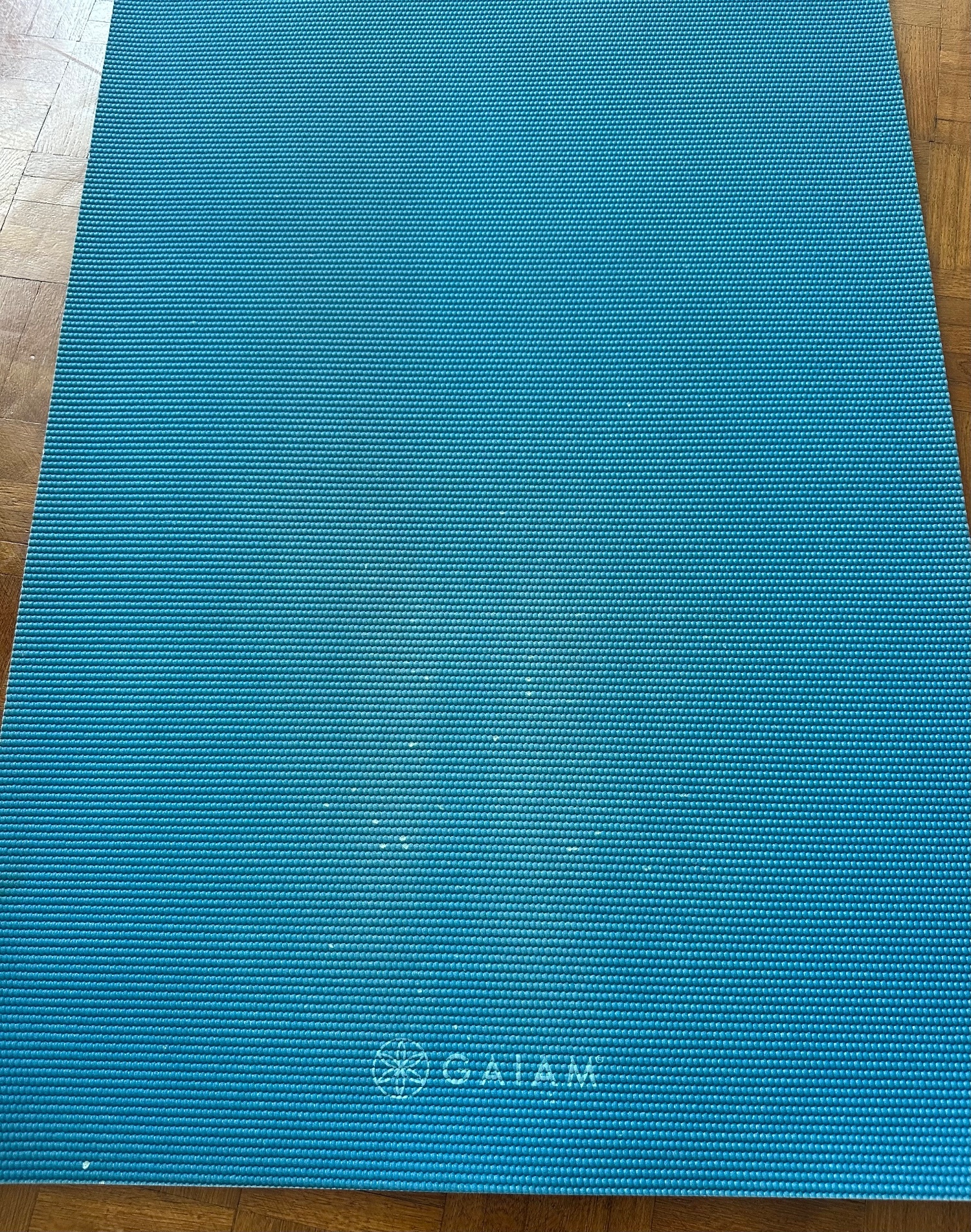  gym yoga mat 