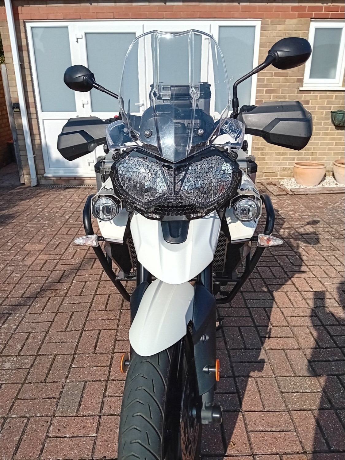 Triumph Tiger Eastbourne