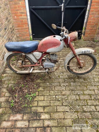 mitotic moto bike