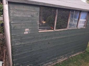 Shed 10ft x 8ft