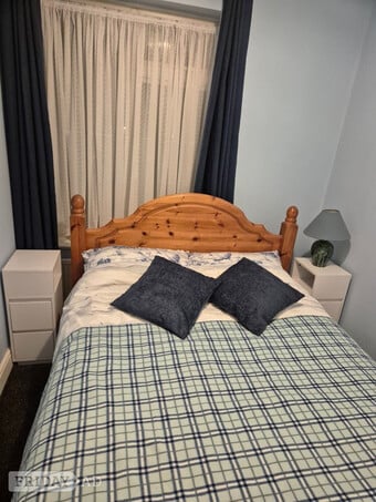 Professional male has room to let in Swindon.
