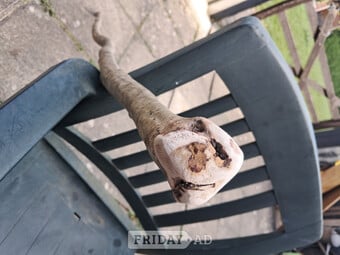 Hand made walking stick 