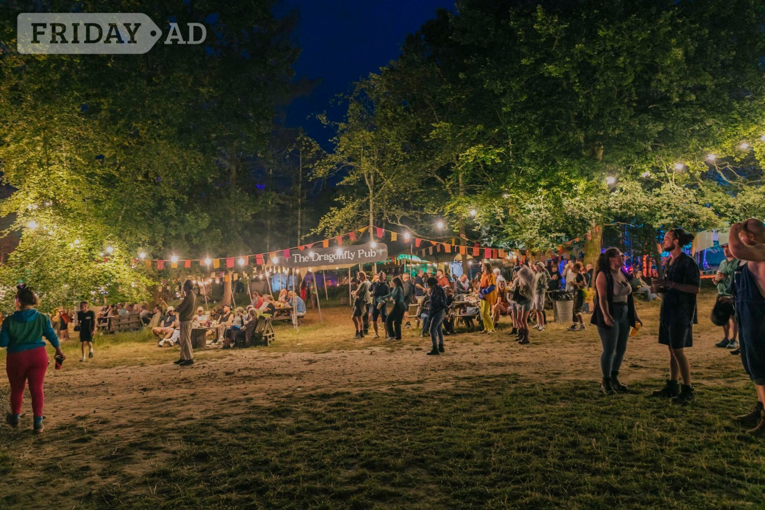 Ashdown Forest  Good Vibrations Society 