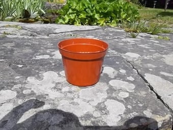 10 x Round Hard Plastic Growing Pots - approx. 330 ml.