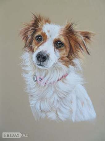 BEAUTIFUL PET PORTRAITS