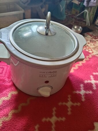 Slow cook pot small double electric plate steam cleaner handheld 