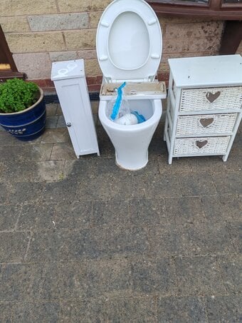 Toilet and cabinets