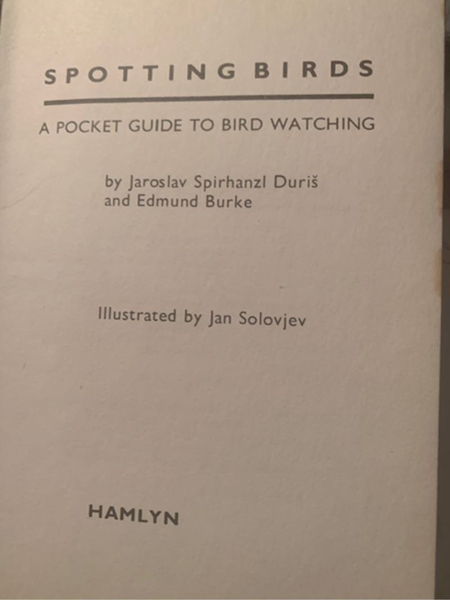 Spotting Birds a Pocket Guide