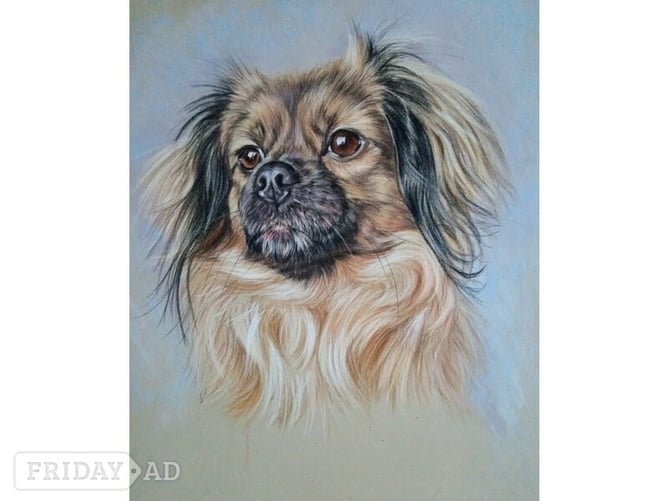 BEAUTIFUL PET PORTRAITS