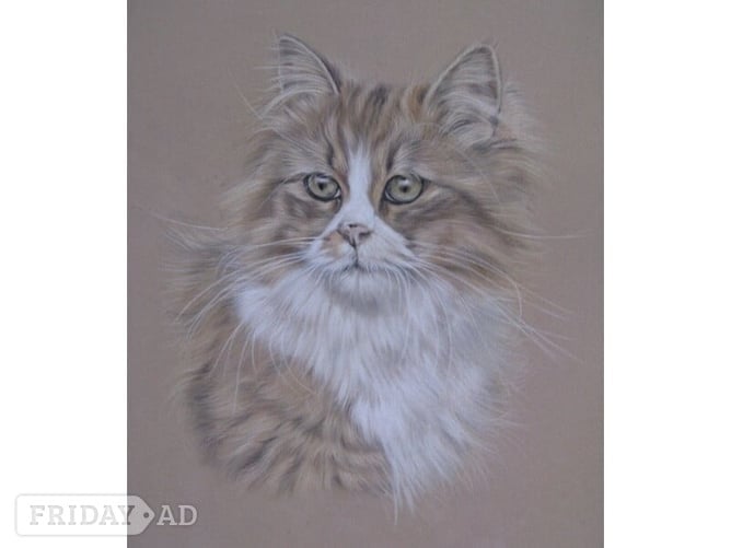 Steyning BEAUTIFUL PET PORTRAITS