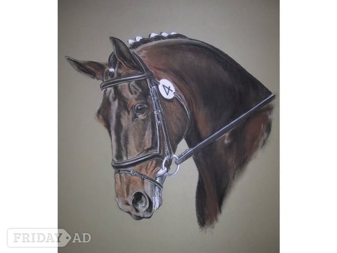 BEAUTIFUL PET PORTRAITS - Pet Accessories & Supplies in Steyning