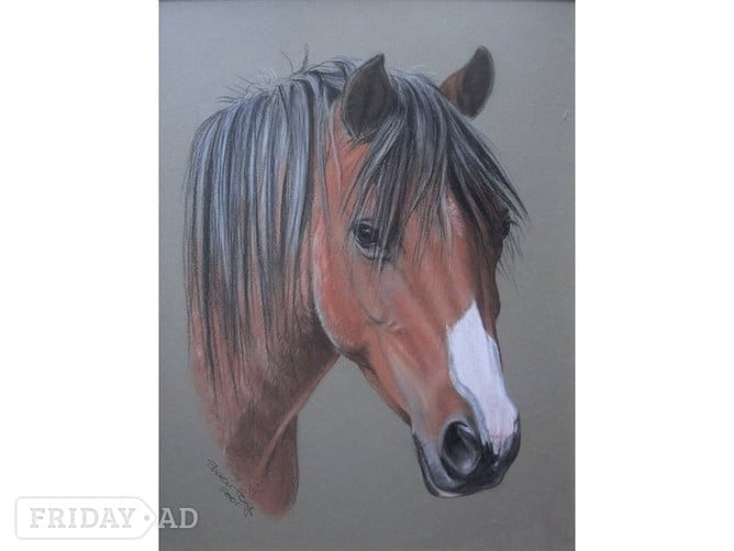 BEAUTIFUL PET PORTRAITS - Pet Accessories & Supplies