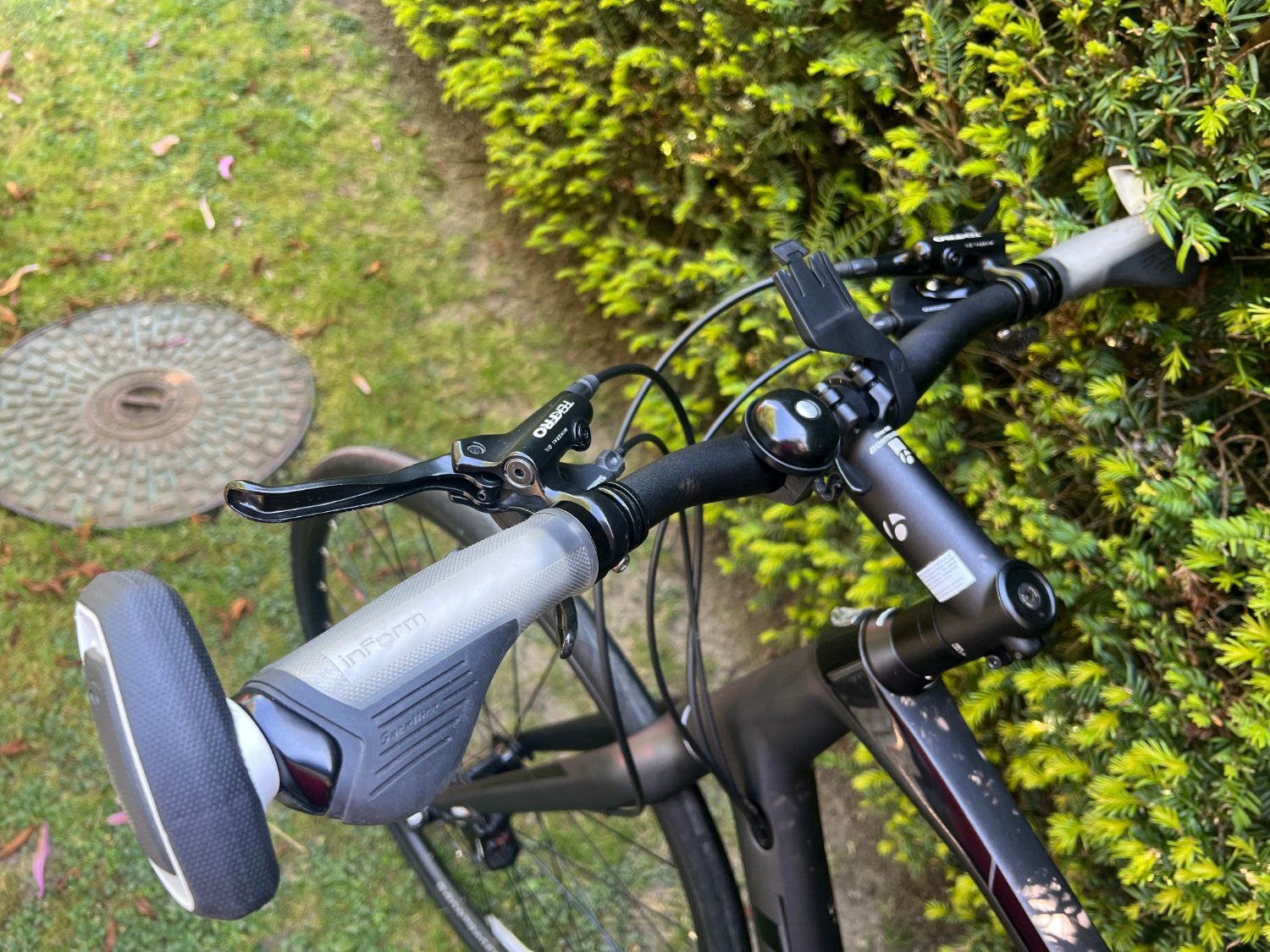 Trek FX Sport 6 - Bicycles in Hythe