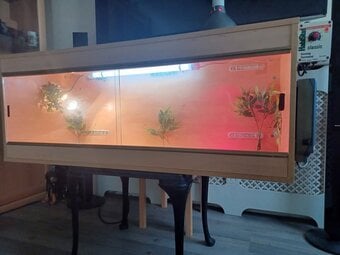 Vivarium LARGE 4ft with electrics