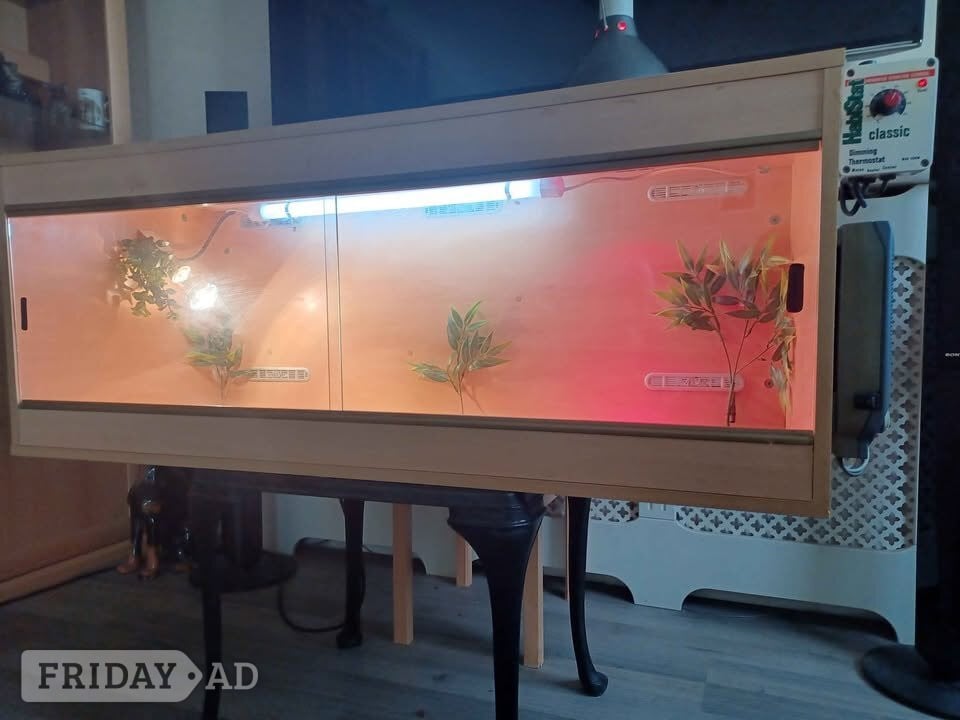 Vivarium LARGE 4ft with electrics in Gillingham