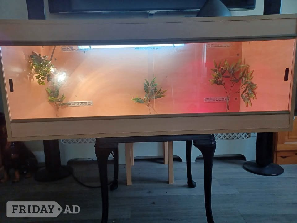 Vivarium LARGE 4ft with electrics