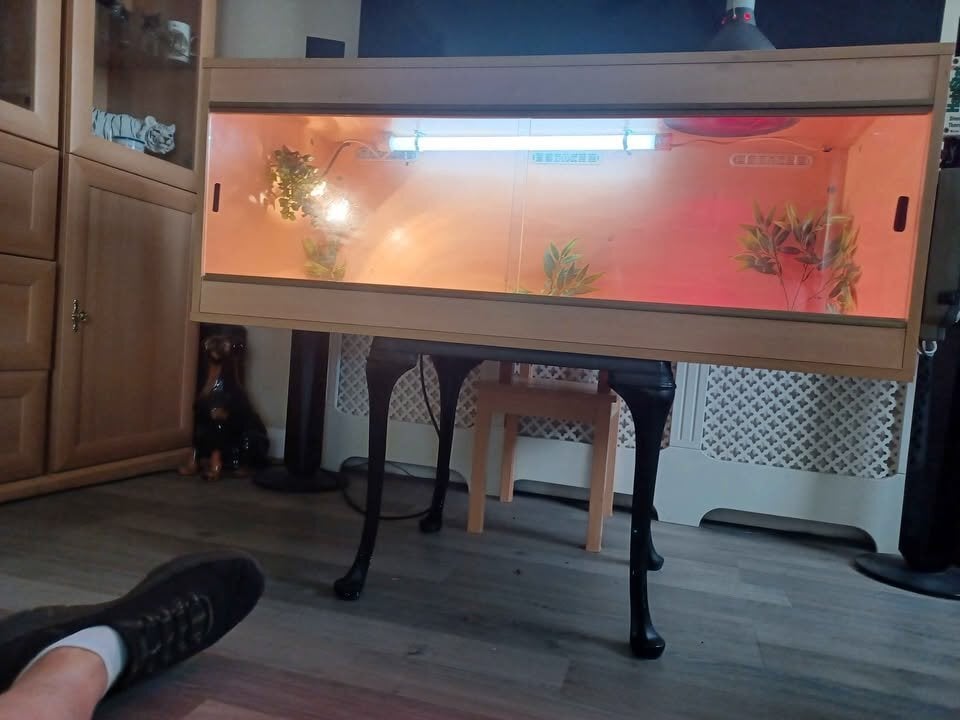 Gillingham Vivarium LARGE 4ft with electrics