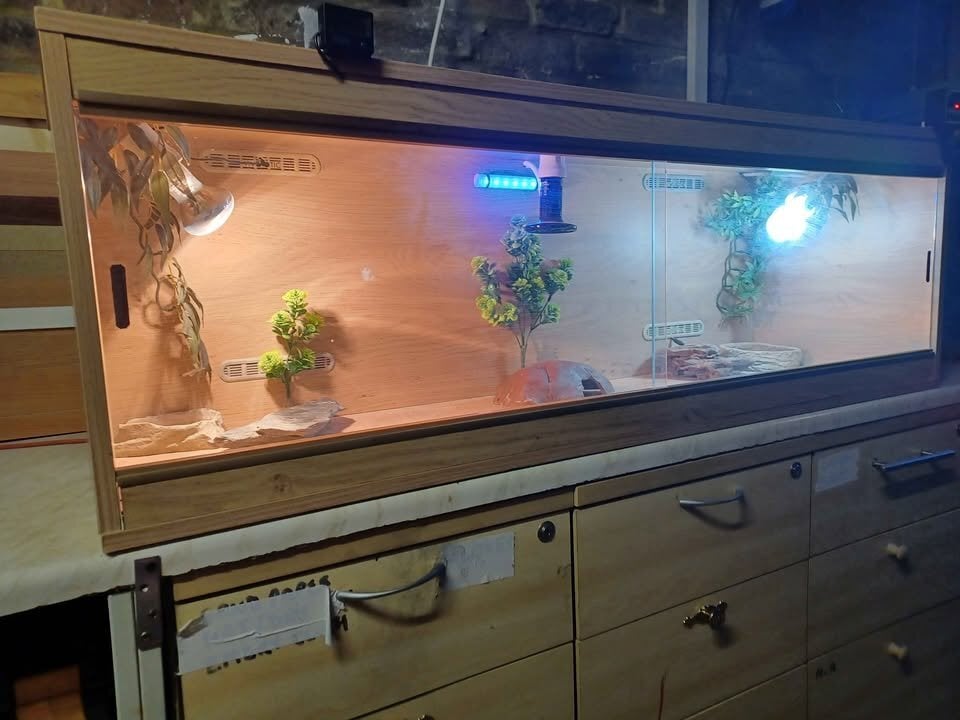VIVARIUM large with electrics in Gillingham