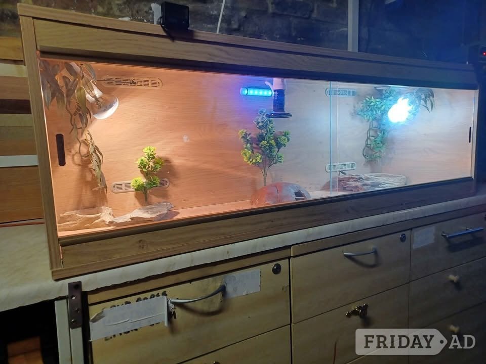 VIVARIUM large with electrics  PENDING  in Gillingham