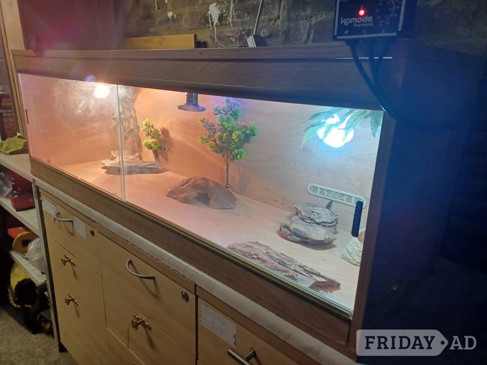 Gillingham VIVARIUM large with electrics