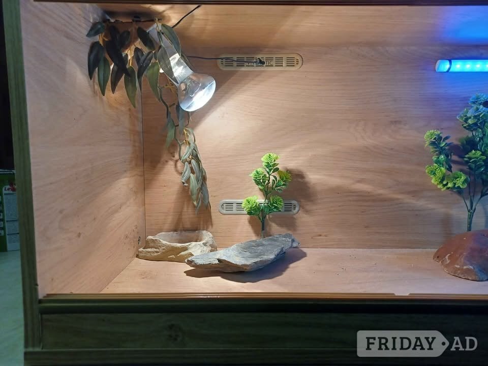 VIVARIUM large with electrics  PENDING  - Pet Accessories & Supplies