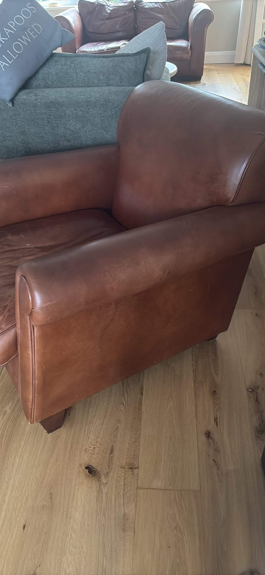 Brown leather armchair