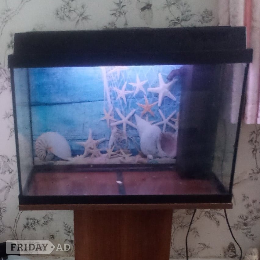 Free fish tank in Bexhill-On-Sea