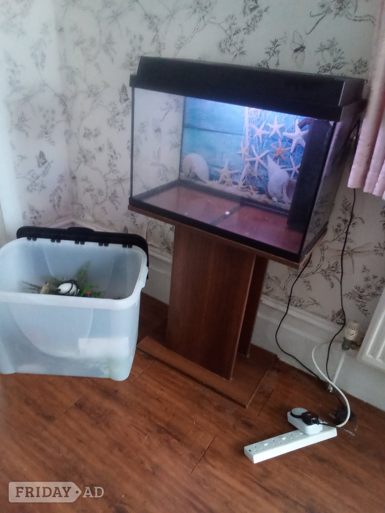 Free fish tank