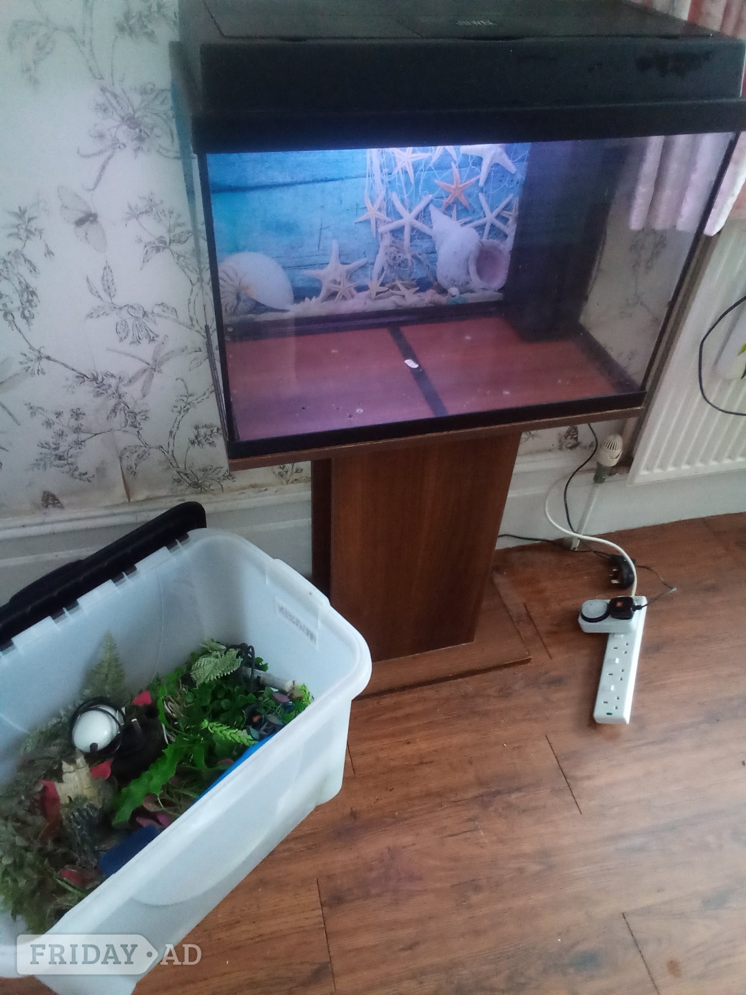 Bexhill-On-Sea Free fish tank