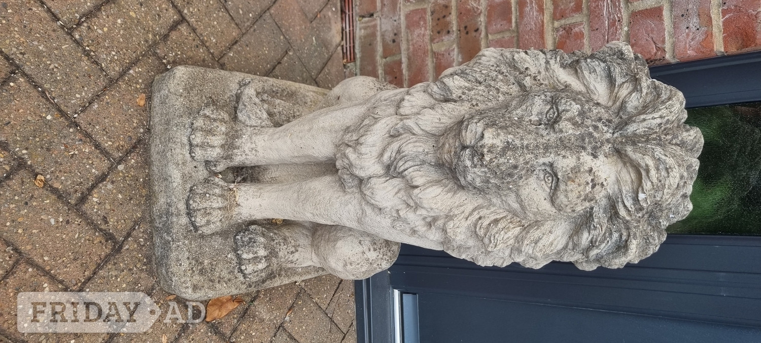 Pair of heavy concrete Lions - Garden in Peterborough