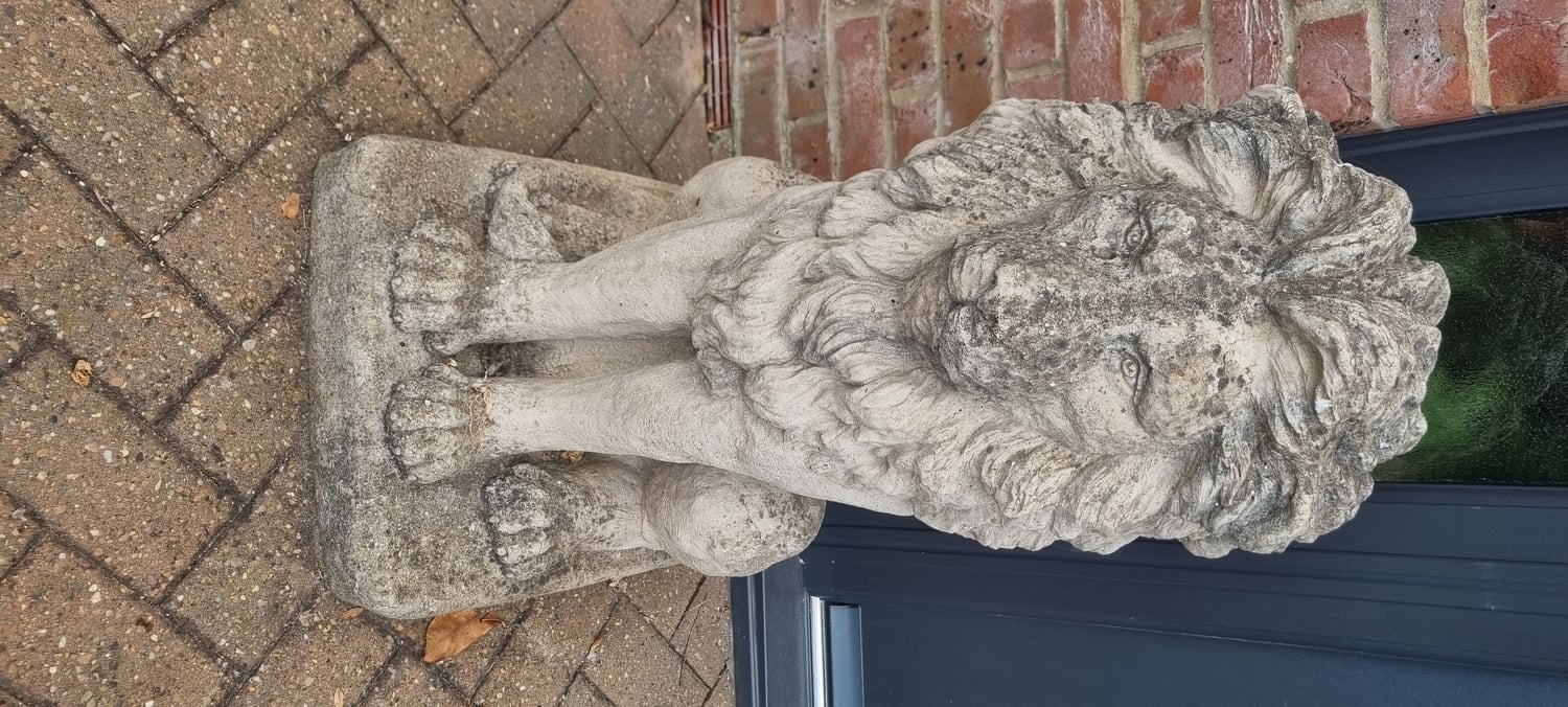 Pair of heavy concrete Lions - Garden in Peterborough