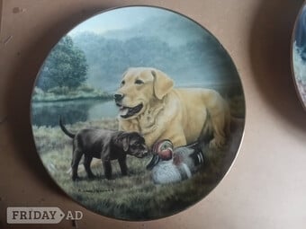 Labrador Collectors plate, Franklin Mint.  by Nigel Hemming, 