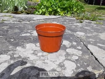 10 x Round Hard Plastic Growing Pots - approx. 450 ml.