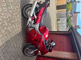 Honda blackbird for sale 