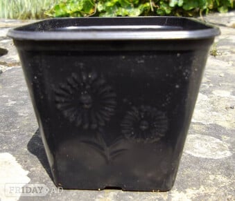 20 x Nursery Soft Plastic Square Growing Pots - approx. 300 ml