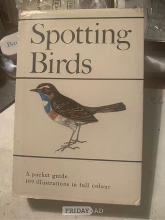 Spotting Birds a Pocket Guide
